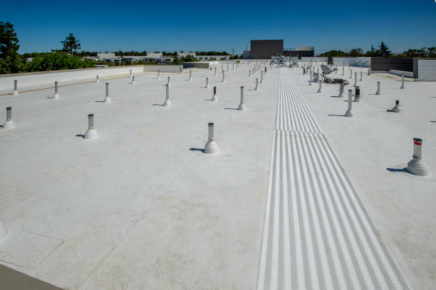 Best Steel Roofing  in Cherryland, CA